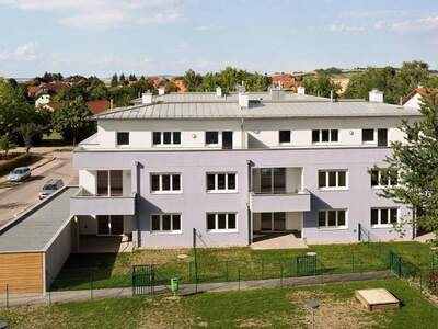 Mietwohnung in 2020 Hollabrunn