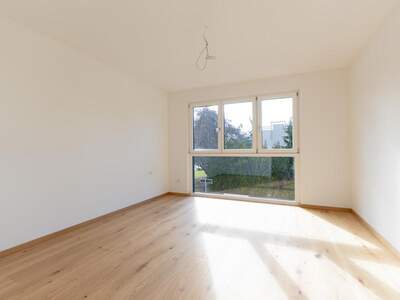 Einfamilienhaus kaufen in 1220 Wien (Bild 5)