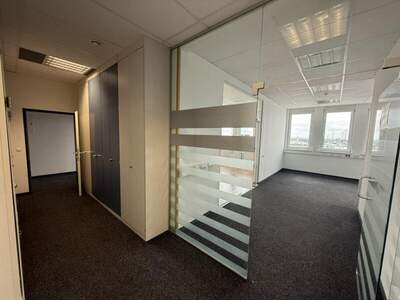 Büro / Praxis mieten in 2351 Wr. Neudorf (Bild 4)
