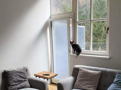 Altbauwohnung mit Balkon mieten in 6800 Feldkirch (Bild 2)