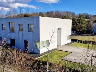 Gewerbeobjekt mieten in 4600 Schleißheim (Bild 4)