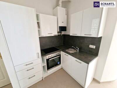 Wohnung kaufen in 1150 Wien (Bild 5)