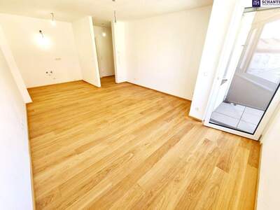Wohnung mit Balkon kaufen in 1230 Wien