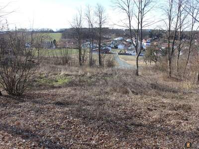 Grundstück kaufen in 7431 Bad Tatzmannsdorf