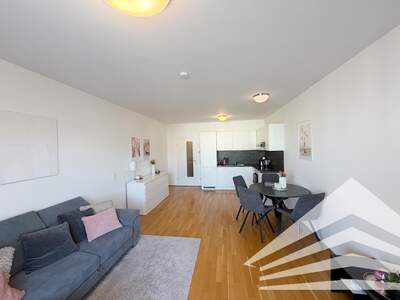 Etagenwohnung mieten in 4020 Linz