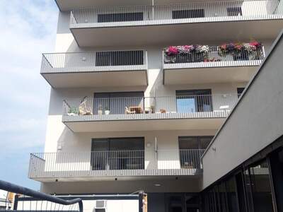 Gewerbeobjekt mieten in 4600 Wels (Bild 5)