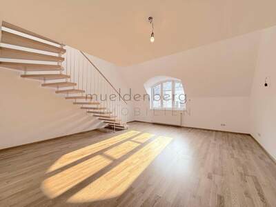 Wohnung mieten in 1060 Wien