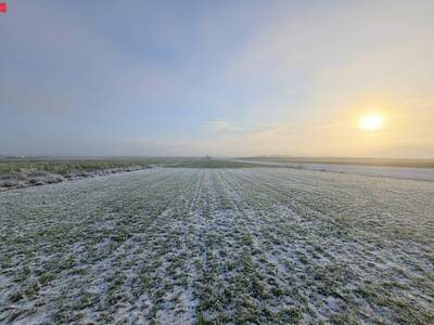 Grundstück kaufen in 8424 Gabersdorf