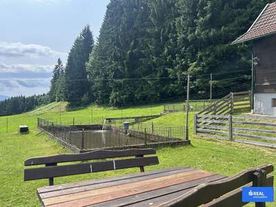 Haus kaufen in 9411 St. Michael (Bild 4)