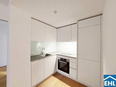 Terrassenwohnung mieten in 1180 Wien (Bild 3)