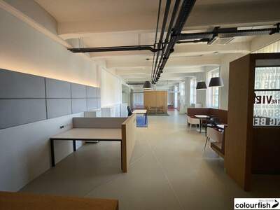 Gewerbeobjekt mieten in 1100 Wien (Bild 5)