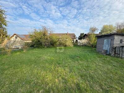 Grundstück kaufen in 2230 Gänserndorf (Bild 1)
