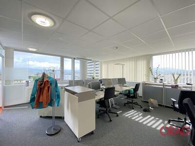 Gewerbeobjekt mieten in 4040 Linz (Bild 1)