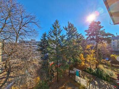 Wohnung mit Balkon kaufen in 1160 Wien (Bild 4)