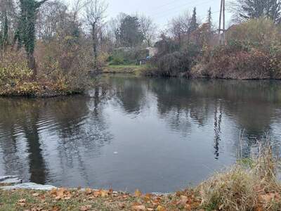 Haus kaufen in 2431 Enzersdorf