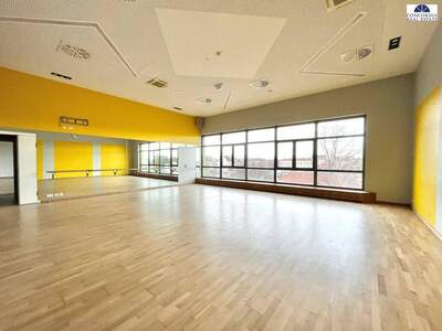 Gewerbeobjekt mieten in 2320 Schwechat