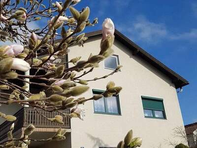 Einfamilienhaus kaufen in 7423 Pinkafeld (Bild 3)