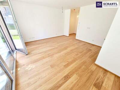 Terrassenwohnung kaufen in 1230 Wien (Bild 2)