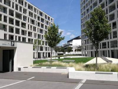 Wohnung provisionsfrei mieten in 1220 Wien