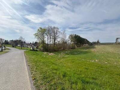 Grundstück kaufen in 7342 Kaisersdorf