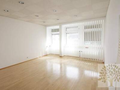 Gewerbeobjekt mieten in 9020 Klagenfurt