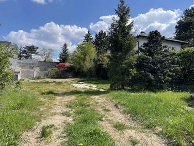 Grundstück kaufen in 2380 Perchtoldsdorf (Bild 2)