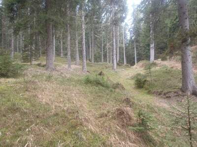 Gewerbeobjekt kaufen in 9542 Verditz (Bild 2)