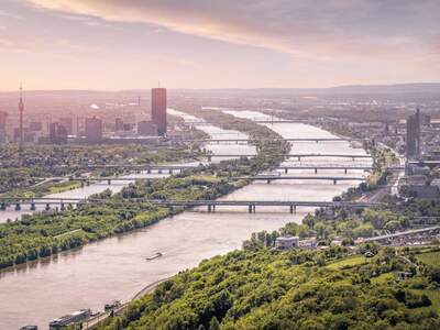 Haus kaufen in 1220 Wien