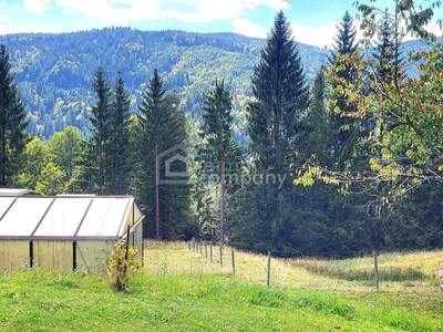 Haus kaufen in 8553 Sankt Oswald