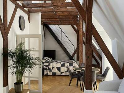 Altbauwohnung kaufen in 3500 Krems (Bild 1)