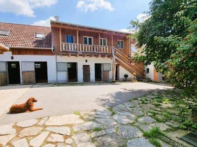 Haus kaufen in 3841 Windigsteig