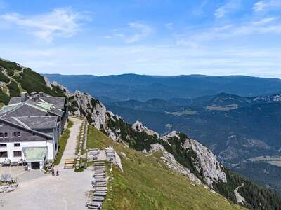 Gewerbeobjekt kaufen in 2734 Puchberg (Bild 2)