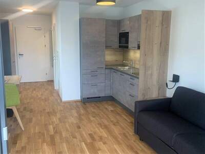 Terrassenwohnung kaufen in 5771 Leogang (Bild 2)