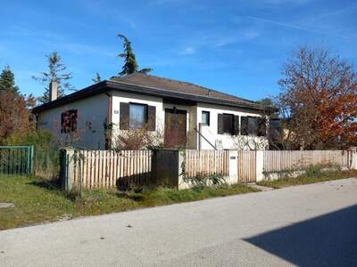 Haus kaufen in 2492 Eggendorf