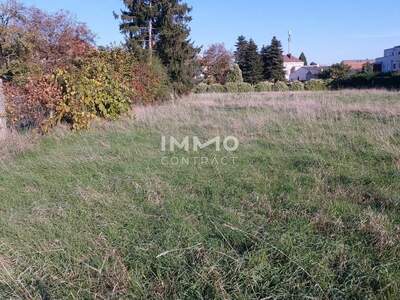 Grundstück kaufen in 2273 Hohenau