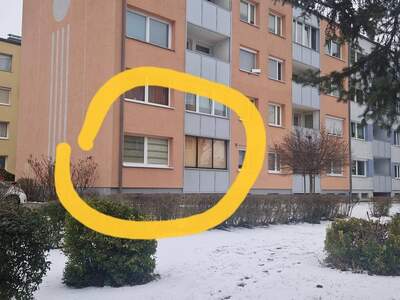 Wohnung provisionsfrei kaufen in 3380 Pöchlarn
