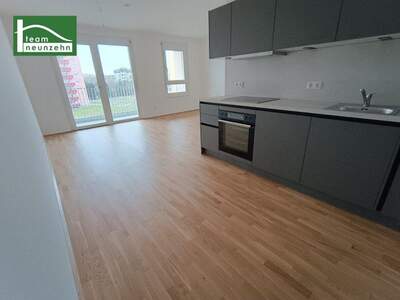 Terrassenwohnung mieten in 3100 St. Pölten (Bild 2)