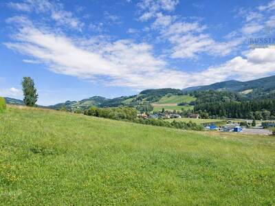 Grundstück kaufen in 9463 Reichenfels