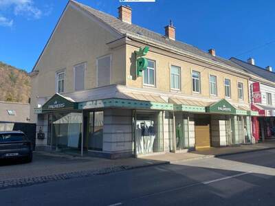 Gewerbeobjekt mieten in 2640 Gloggnitz (Bild 1)