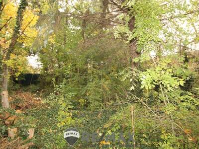 Grundstück kaufen in 1220 Wien (Bild 4)