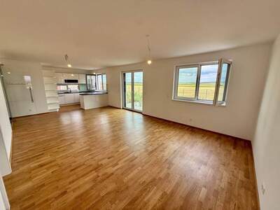 Haus kaufen in 2073 Schrattenthal