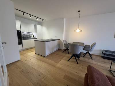 Terrassenwohnung mieten in 1210 Wien (Bild 2)