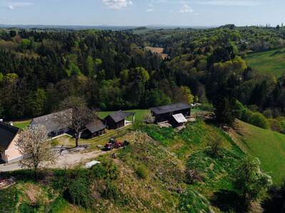 Haus kaufen in 8462 Gamlitz (Bild 5)