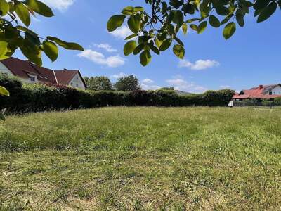 Grundstück kaufen in 8431 Gralla (Bild 1)