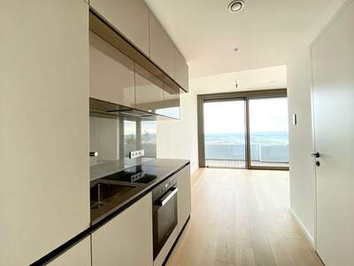 Wohnung mit Balkon mieten in 1220 Wien (Bild 1)