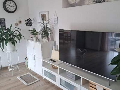 Terrassenwohnung mieten in 8412 Allerheiligen (Bild 4)