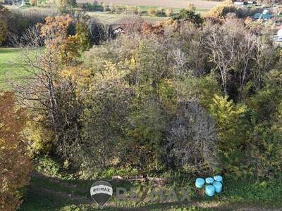 Einfamilienhaus kaufen in 3452 Atzenbrugg (Bild 4)