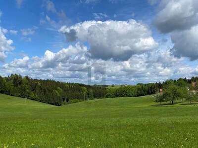 Grundstück kaufen in 5241 Maria Schmolln