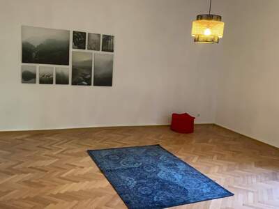 Wohnanlage kaufen in 1190 Wien (Bild 3)