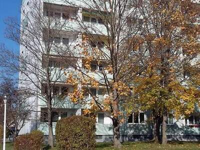 Wohnung mieten in 2700 Wr. Neustadt (Bild 4)